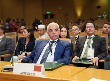 انعقاد الاجتماع الثاني للجنة الروابط الاجتماعية التابعة لمنظمة الصحة العالمية بمراكش 5 telecharger 6 1