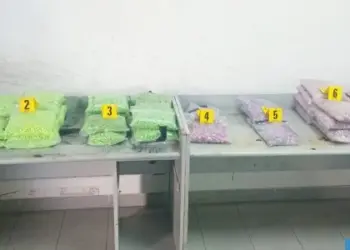 إحباط محاولة تهريب 155,703 قرص مهلوس من نوع "إكستازي" بميناء طنجة المتوسط 7 إحباط محاولة تهريب 155,703 قرص مهلوس من نوع “إكستازي” بميناء طنجة المتوسط