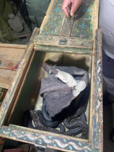 امن-1-225x300 الأمن الوطني: توقيف أشخاص بحوزتهم حيوانات محمية