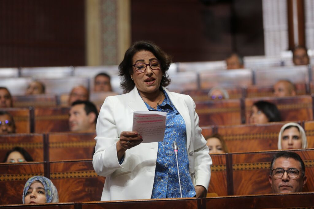 نائبة برلمانية تعيد تسقيف سن التعليم إلى البرلمان من جديد 1 النائبة نادية تهامي 1024x682 1