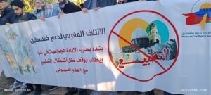 WhatsApp-Image-2025-01-13-a-00.23.03_3440428d-300x135 الائتلاف المغربي لدعم فلسطين: وقفة بفاس داعمة لغزة