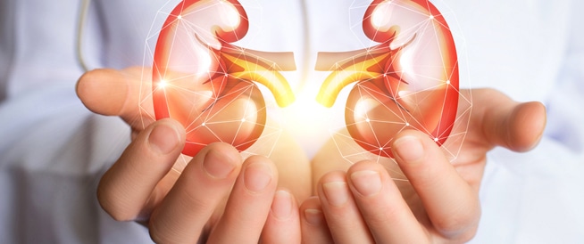 7 أطعمة شائعة تحافظ على صحة كليتك.. احرص على تناولها 1 tbl articles article 16049 32432ea9fe3 c7ac 4c52 bee5 4d19be3f8cd8