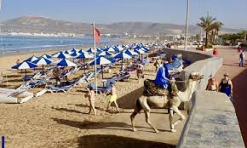 ولاية أمن أكادير: توقيف شخصين لاعتداءهما على سائحين أجنبيين, و توضيح الملابسات 2 images 2 1