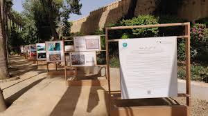 مؤسسة محمد السادس لحماية البيئة تنظم ورشة رفيعة المستوى استعدادا لمؤتمر الأمم المتحدة الثالث للمحيطات 15 telechargement