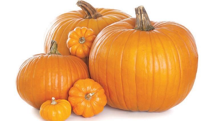 201959142440K4 أفضل 5 أطعمة تخفض نسبة السكر في الدم بشكل طبيعي