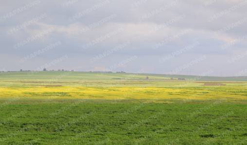 توقعات أحوال الطقس اليوم الاثنين 1 meteo1 508x300 jpg 508x300 2.jpg 2 508x300 1