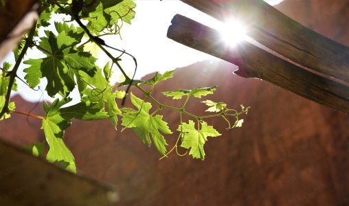 توقعات أحوال الطقس اليوم الخميس 1 soleil 1 508x300 jpg 508x300 2