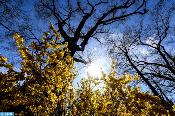 توقعات أحوال الطقس لليوم الجمعة 1 TEMPERATURES 11 2