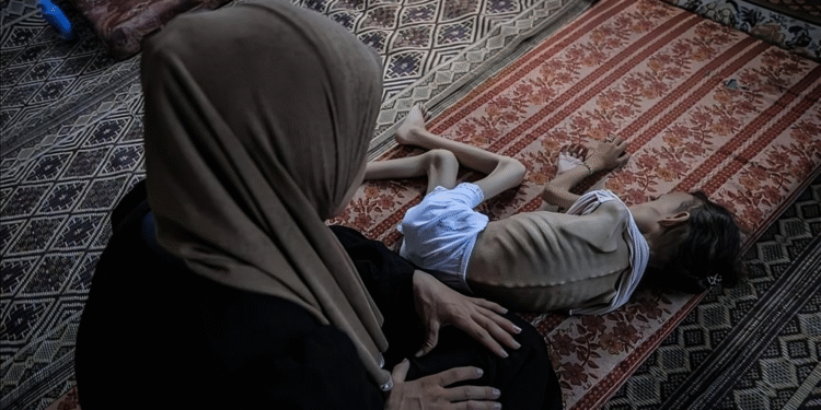 مئات الكتّاب يقاطعون صحيفة نيويورك تايمز بسبب إبادة غزة 1 مئات الكتّاب يقاطعون صحيفة نيويورك تايمز بسبب إبادة غزة