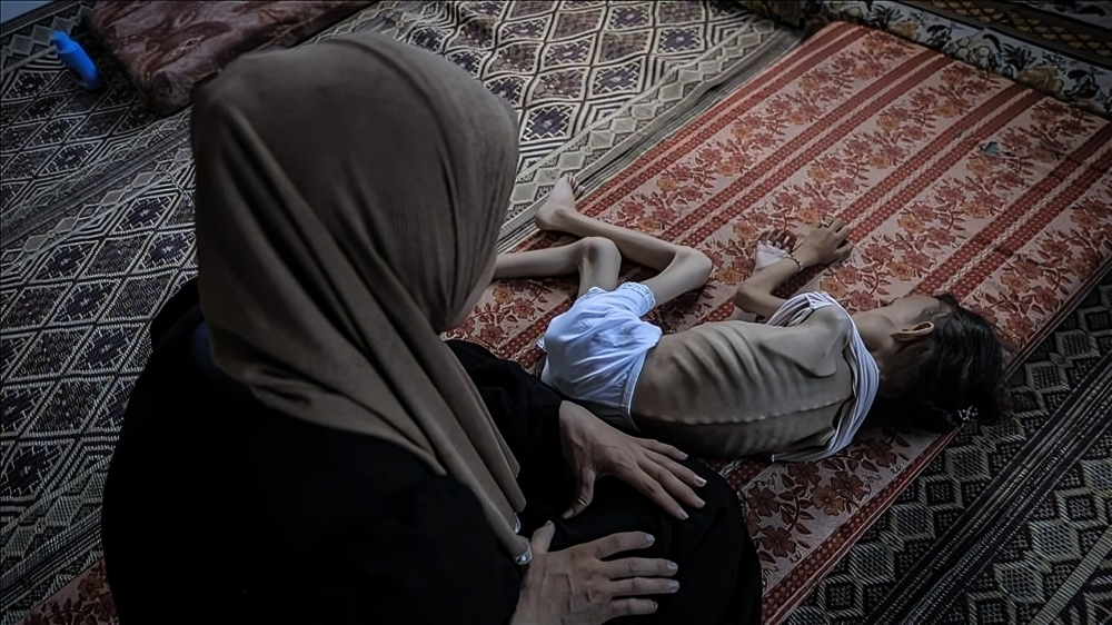 مئات الكتّاب يقاطعون صحيفة نيويورك تايمز بسبب إبادة غزة 2 مئات الكتّاب يقاطعون صحيفة نيويورك تايمز بسبب إبادة غزة