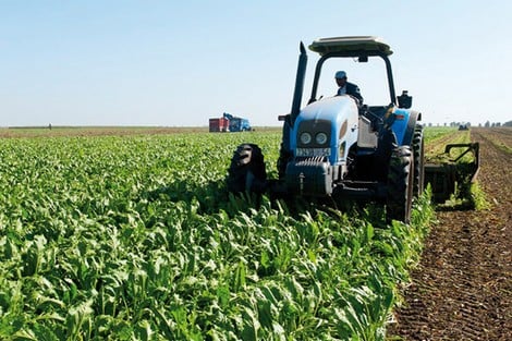 Agriculture_morocco_758440624 لقاء تواصلي ببركان يسلط الضوء على مسار التنمية الفلاحية بجهة الشرق