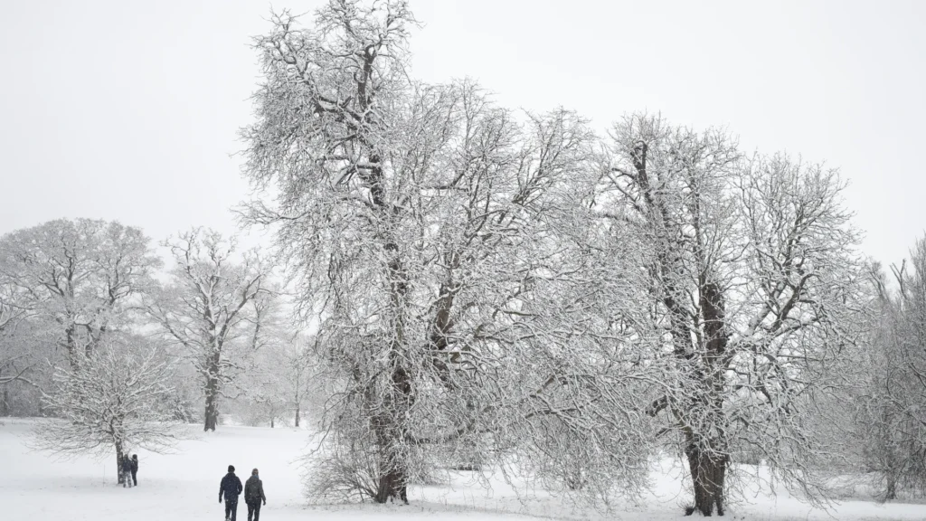 RTX8OGTV-1024x576 تساقط الثلوج والأمطار الغزيرة في عدة مناطق من المملكة يومي الأحد والاثنين.