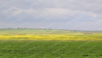 توقعات أحوال الطقس ليوم الاثنين 29 دجنبر 5 meteo1 508x300 jpg 508x300 3 1 1.jpg 3 1 1.jpg 1 1.jpg 1.jpg 504x298 1.jpg 1.jpg 1.jpg 1