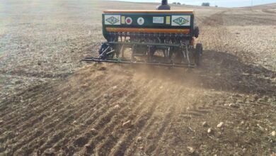 إقليم جرسيف.. زراعة 1000 هكتار من الحبوب باستخدام تقنية "الزرع المباشر". 7 0cff36029d10afa89b3d403e2ee21d82