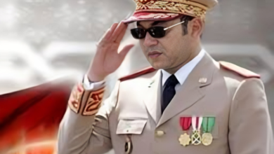 بتوجيهات سامية من جلالة الملك، قامت القوات المسلحة الملكية تنشر وحدات تدخل مجهزة بالمعدات والتجهيزات والآليات الضرورية لنقل وإيواء المتضررين. 4 images 5