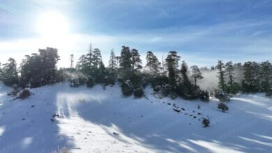 نشرة إنذارية: تساقط الثلوج وطقس بارد وأمطار غزيرة من يوم الثلاثاء حتى الخميس في مجموعة من مناطق المملكة. 11 neige froid arch 508x300 1