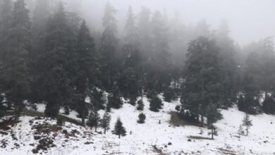 نشرة إنذارية حمراء: تساقطات ثلجية وأمطار غزيرة مرتقبة يومي الجمعة والسبت 3 neige m C3 A9t C3 A9o nature 508x300 png 508x300 1
