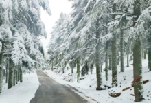 نشرة انذارية: توقعات بأجواء عاصفة وثلوج وأمطار رعدية ودرجات حرارة منخفضة من يوم الإثنين إلى الأربعاء في عدة مناطق بالمملكة. 9 الطقس