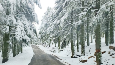 نشرة انذارية: توقعات بأجواء عاصفة وثلوج وأمطار رعدية ودرجات حرارة منخفضة من يوم الإثنين إلى الأربعاء في عدة مناطق بالمملكة. 8 الطقس