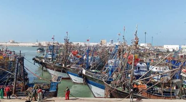 ميناء العيون يتوقف بسبب الظروف الجوية السيئة. 1 IMG 600x329 1