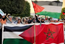 من الرباط إلى طنجة.. زلزال تضامني في شوارع المغرب لنصرة الأسرى والمقدسات. 12 telechargement 16