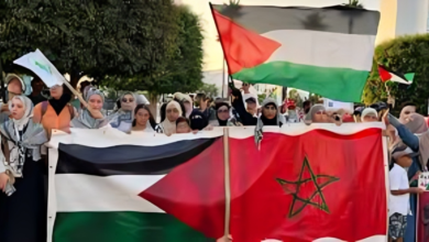 من الرباط إلى طنجة.. زلزال تضامني في شوارع المغرب لنصرة الأسرى والمقدسات. 4 telechargement 16