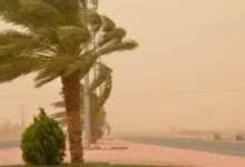 هبات رياح قوية مصحوبة بعواصف رملية أو تطاير الغبار من الجمعة إلى السبت بعدد من مناطق المملكة 13 ريح وغبار 1 1