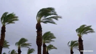 نشرة إنذارية: هبات رياح قوية وزخات رعدية، بالإضافة إلى تساقطات ثلجية بعدة مناطق من الخميس الى الاحد 1 Rafales de vent 504x300 504x300 png 504x300 jpg1 504x300.jpg 504x300.jpg 504x300 1