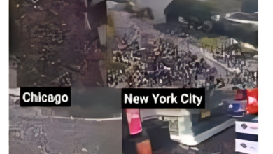 "لا ملوك" في أمريكا.. احتجاجات تاريخية تجتاح 50 ولاية بـ 9 ملايين متظاهر. 11 images 4