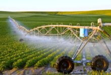 فاس-مكناس: إطلاق برنامج “AgreenTech” لتعزيز الابتكار في المجال الفلاحي 55 news 1604737339