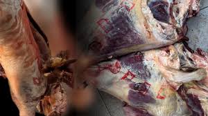 telechargement-74 حملة أمنية واسعة في رمضان: توقيف 10 مسيري مخبزات وحجز مواد غذائية فاسدة بعدة مدن مغربية.