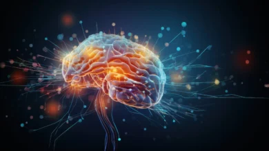 الدماغ لا يتوقف عن التطور.. دراسات حديثة تعيد رسم فهم الشيخوخة العقلية 10 1299792.jpeg