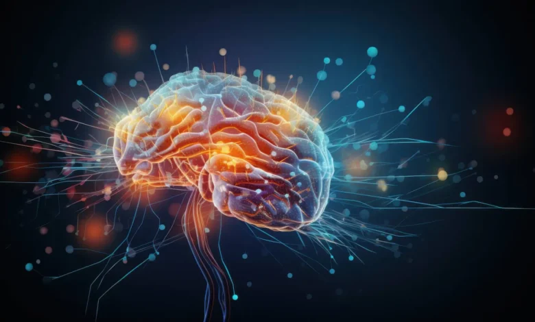 الدماغ لا يتوقف عن التطور.. دراسات حديثة تعيد رسم فهم الشيخوخة العقلية 1 1299792.jpeg