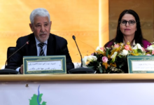 فاس: ندوة تسلط الضوء على الدور البارز للنساء المغربيات في المؤسسة التشريعية والمجالس المنتخبة، 10 23564235656423 508x300 1