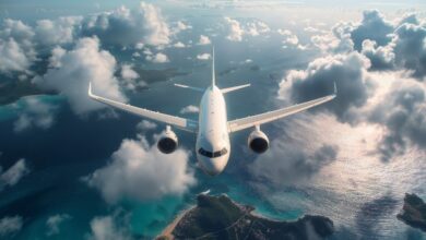 الندوة العالمية لدعم التنفيذ.. متخصصون دوليون يناقشون رؤية "صفر وفيات" في مجال الطيران المدني. 4 721593319286202510101139423942