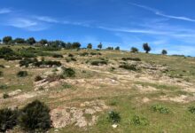 طقس الجمعة: ضباب، أمطار خفيفة ورياح قوية 10 981fbc00 b79a 49a1 ae1c d834a4a97c0c