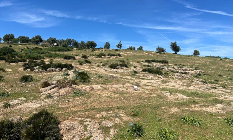 طقس الجمعة: ضباب، أمطار خفيفة ورياح قوية 1 981fbc00 b79a 49a1 ae1c d834a4a97c0c