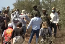 الضفة الغربية: 1846 اعتداءً للاحتلال ومستوطنيه منذ بداية أبريل الجاري 12 D28VZ