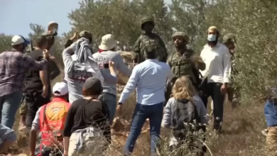 الضفة الغربية: 1846 اعتداءً للاحتلال ومستوطنيه منذ بداية أبريل الجاري 4 D28VZ