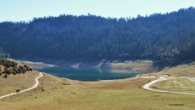 حالة الطقس المتوقعة اليوم الثلاثاء 6 Nature meteo