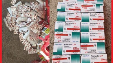 ضربة موجعة لبارونات "القرقوبي" الدولي بميناء الناظور.. حجز 7486 قرصاً مخدراً. 4 WhatsApp Image 2026 04 13 at 23.31.30