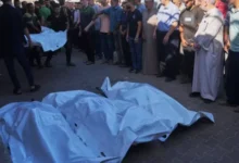 وزارة الصحة في غزة: ارتقاء 11 شهيداً وتسجيل 26 إصابة خلال الـ48 ساعة الماضية. 11 bcyO7