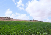 توقعات الطقس ليوم السبت 8 meteo1 jpg 1.jpg 1.jpg 508x300 1.jpg 1 png1 1.jpg 1.jpg 1.jpg 1.jpg 1.jpg 1.jpg.jpg