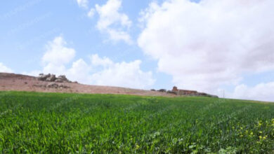 توقعات الطقس ليوم السبت 1 meteo1 jpg 1.jpg 1.jpg 508x300 1.jpg 1 png1 1.jpg 1.jpg 1.jpg 1.jpg 1.jpg 1.jpg.jpg