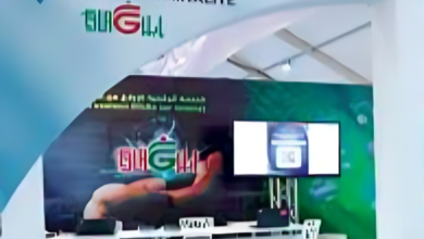 الأمن الوطني: إطلاق منصة رقمية لتعزيز الأمن الرقمي" إبلاغ" 1 telechargement 14