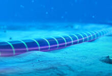 ثورة في الربط القاري.. كابل بحري مباشر يربط شمال المغرب بجنوب فرنسا. 11 telechargement 50