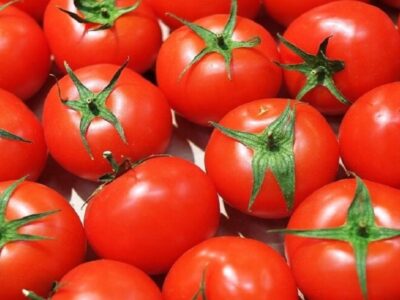 خبراء: فيروس غير متوقع دمر محصول الطماطم و أدى إلى زيادة أسعارها. 1 tomates 640x480 1 400x300 1