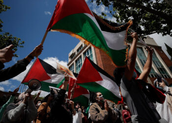 الألم والحزن والغضب يوحد فنانين مغاربة تضامنا مع فلسطين