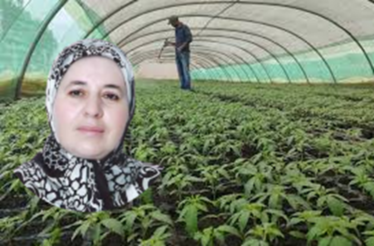 كنزة الغالي
