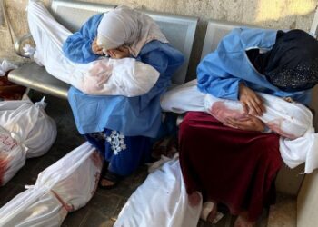 الصحة بغزة: الاحتلال ارتكب 3 مجازر خلال 24 ساعة أدت لارتقاء 28 شهيدا
